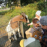 Ausflug zum Wildpark