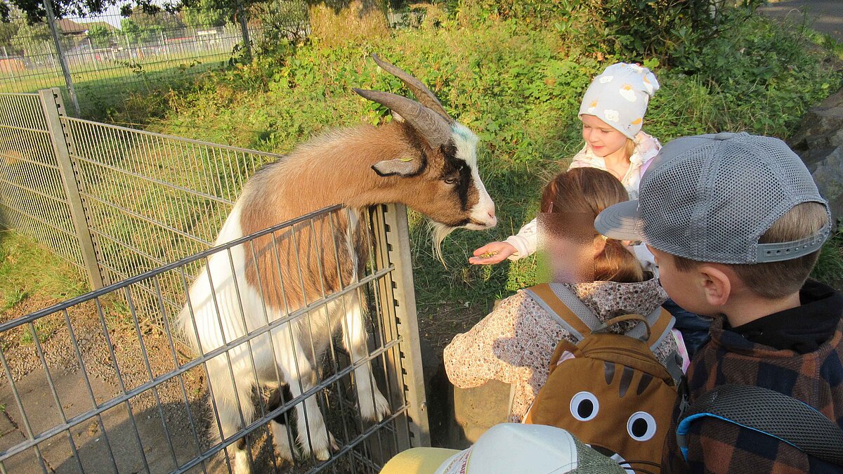 Ausflug zum Wildpark